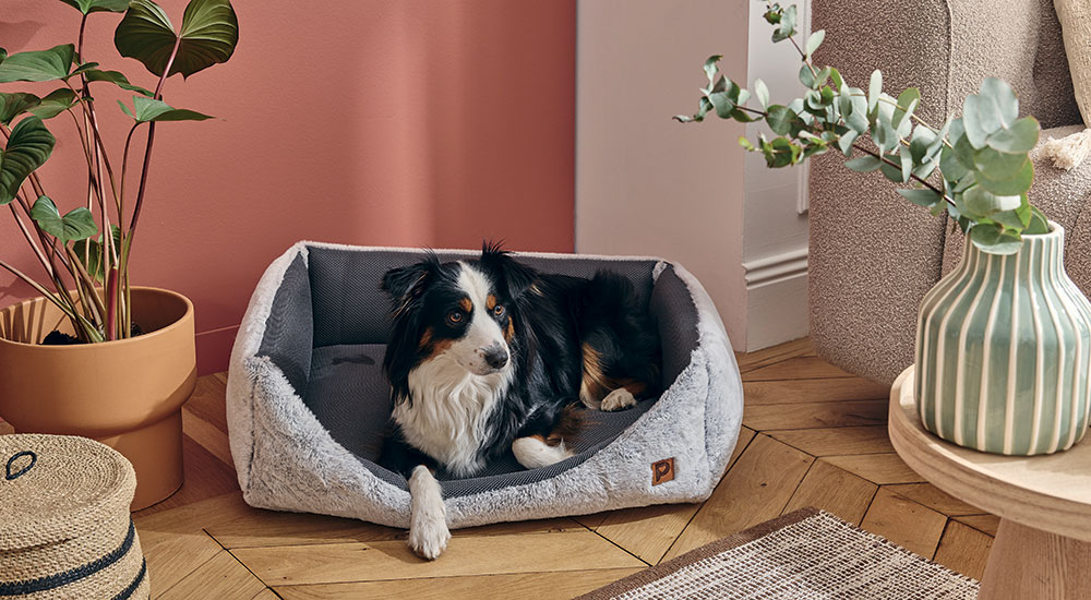 Sofa chien été-hiver L/XL - Pure Family