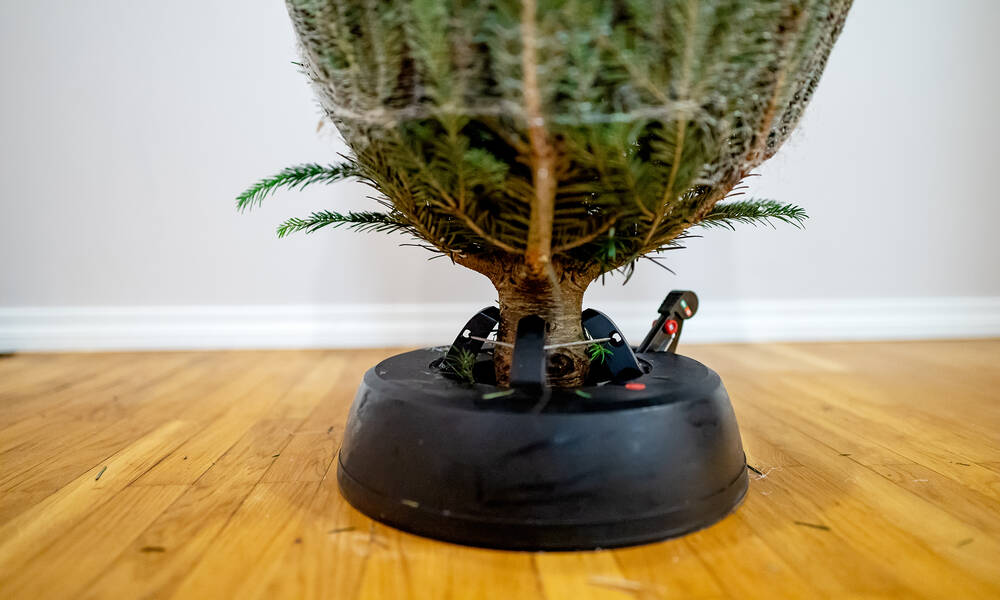 Un pied stable et bien lesté pour un sapin naturel