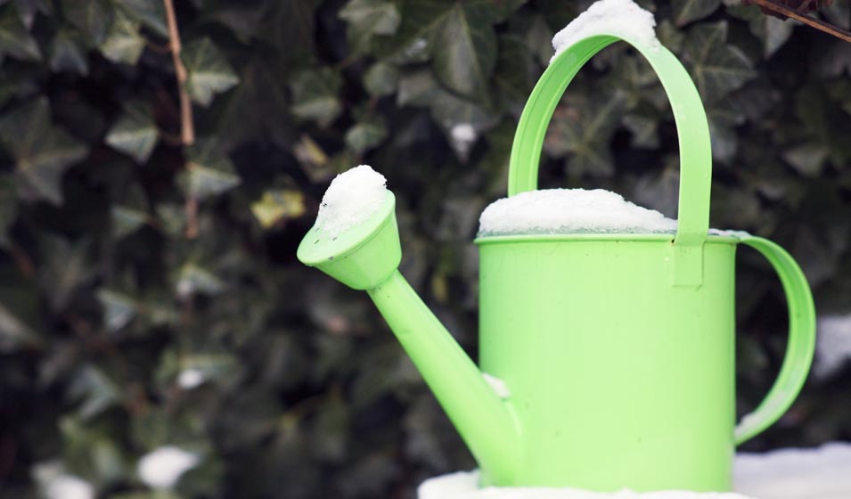Comment mettre un voile d'hivernage ? - Jardiland