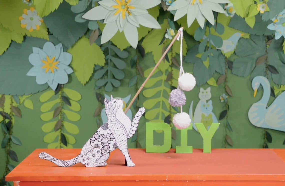 Comment fabriquer un jouet à pompon pour chat ?