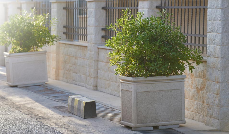Un peu de nature dans la jungle urbaine 