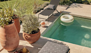 Define Pot De At Tina Lown Blog Define Pot De At Tina Lown Blog