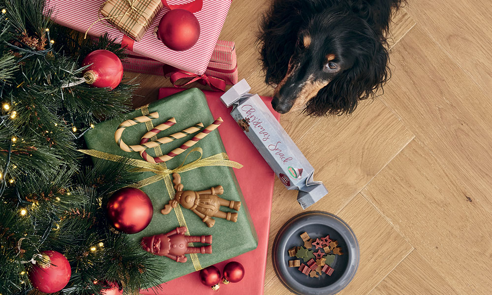 14 idées de cadeaux de Noël pour gâter son chien