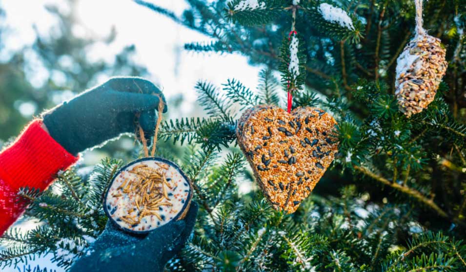 Un hiver le ventre plein