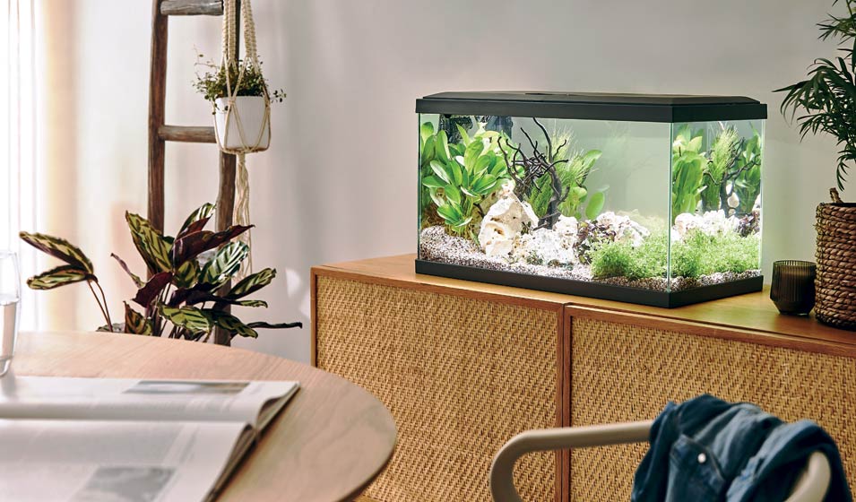Original Idee Deco Aquariumnull