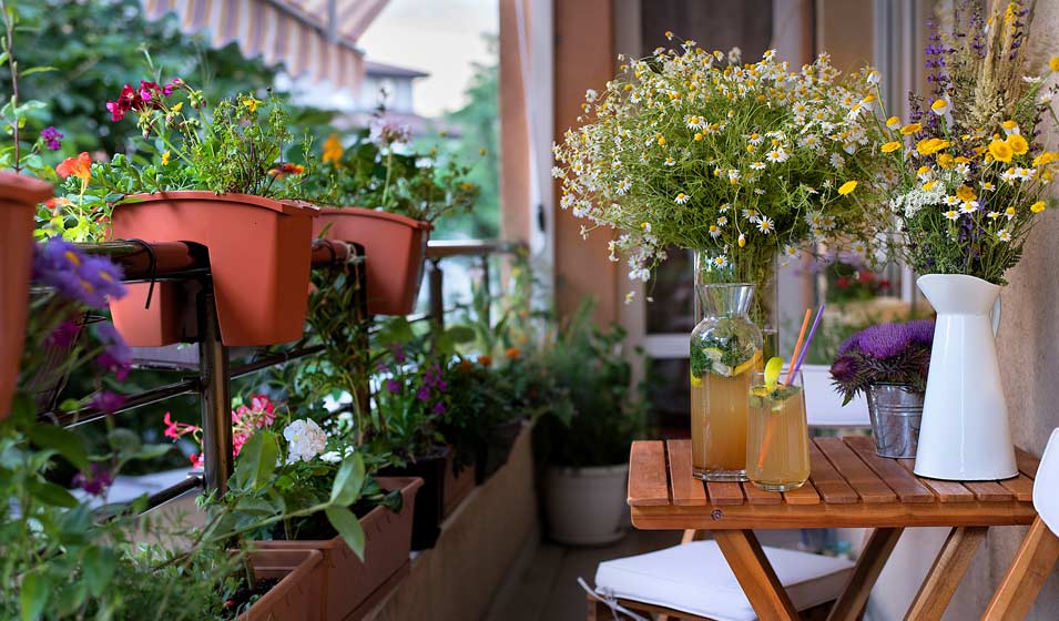 Un jardin dans la ville 