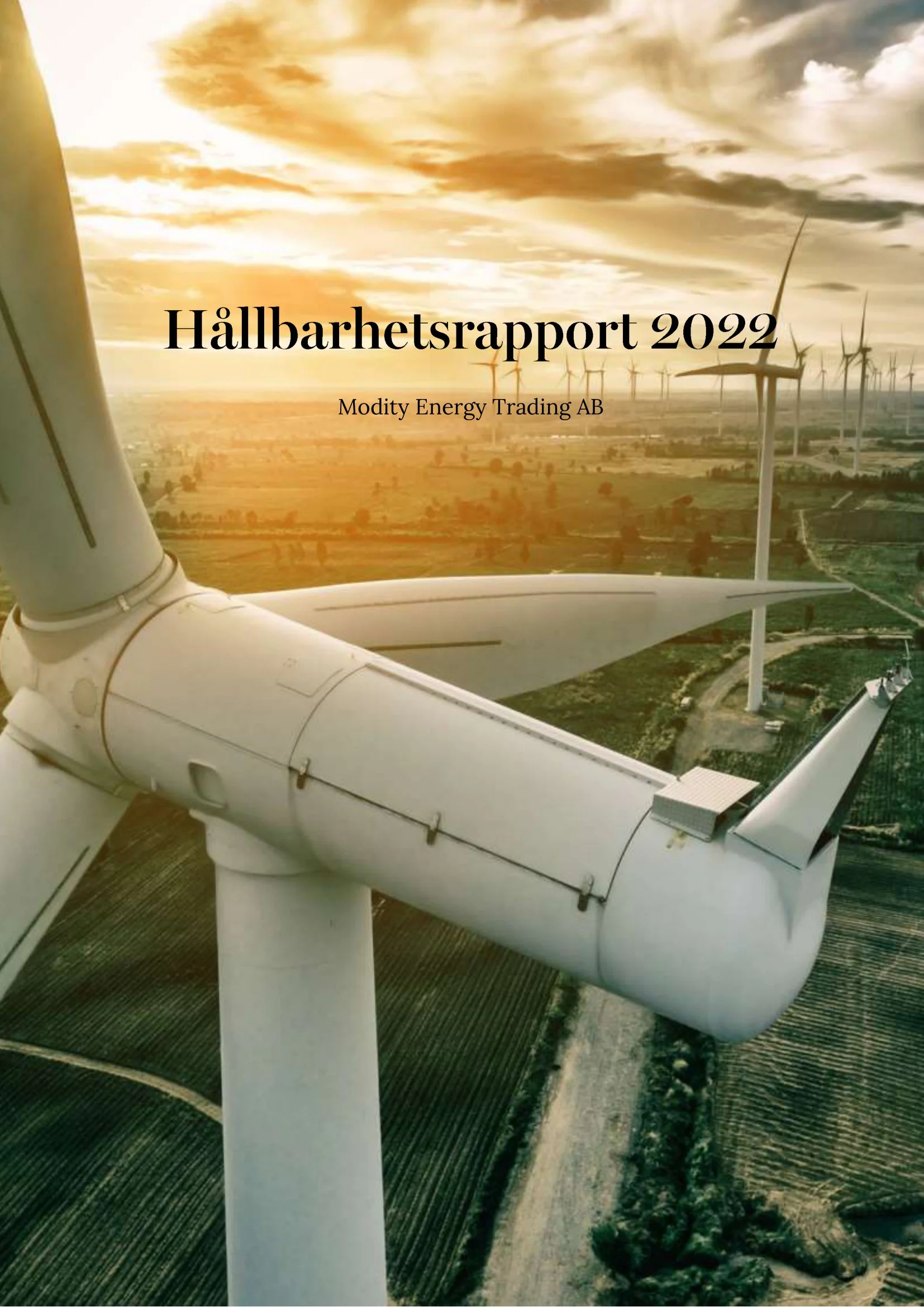 A picture that represents a report