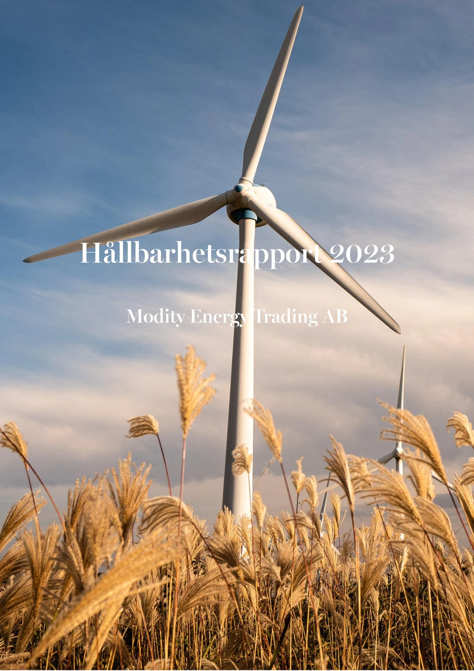 A picture that represents a report