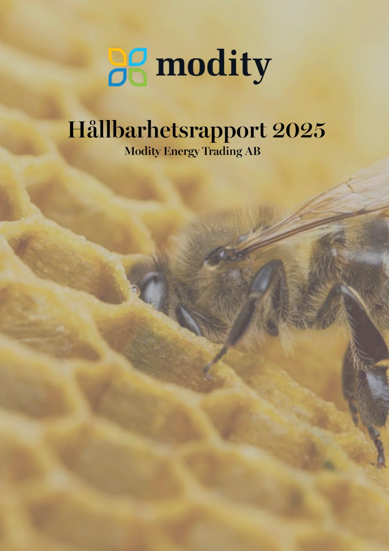 A picture that represents a report