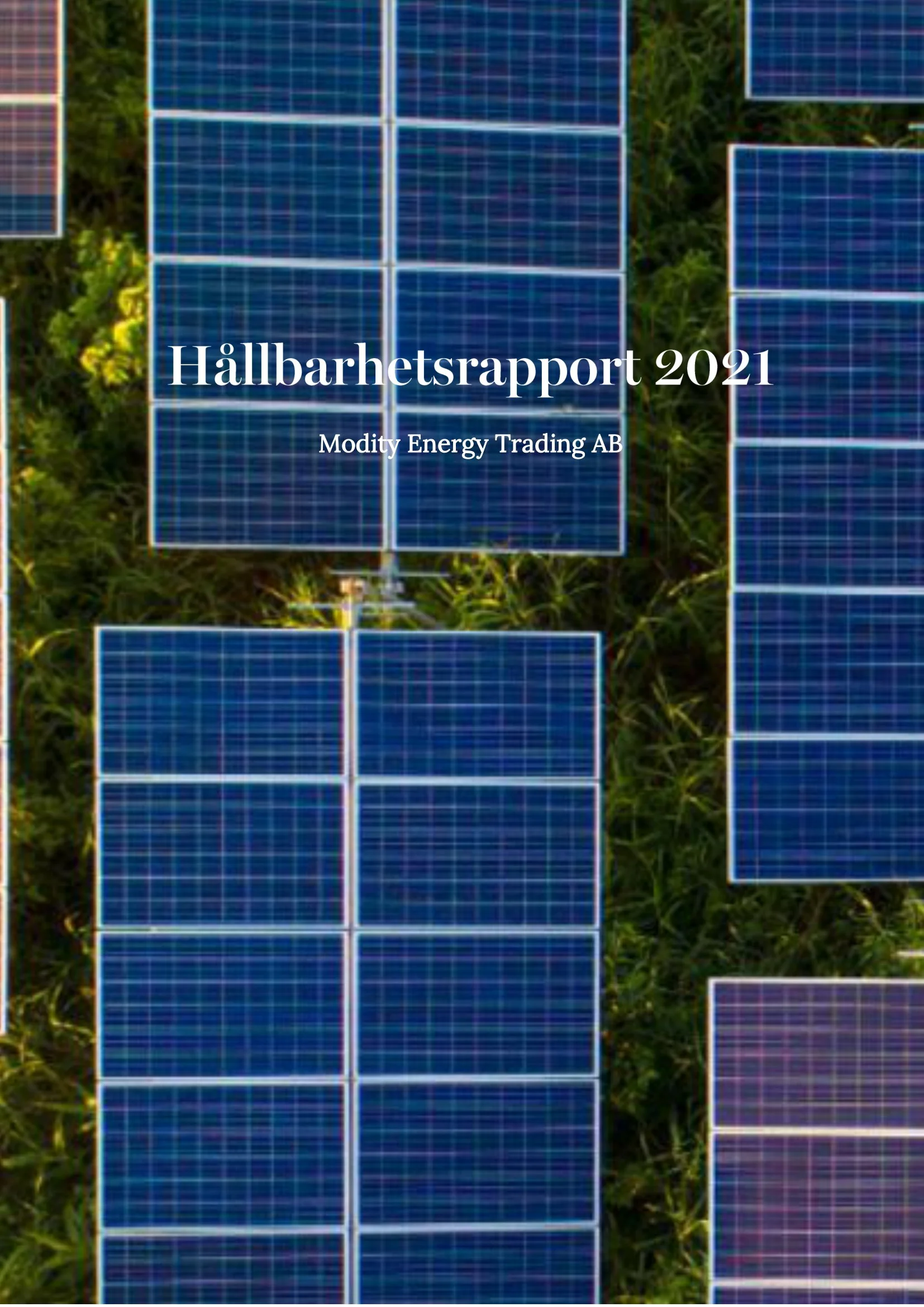 A picture that represents a report