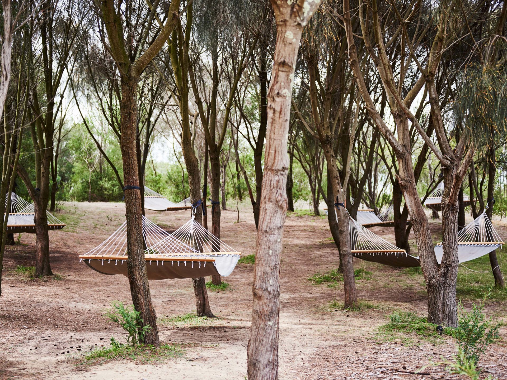 bathing experiences_hammocks in nature 