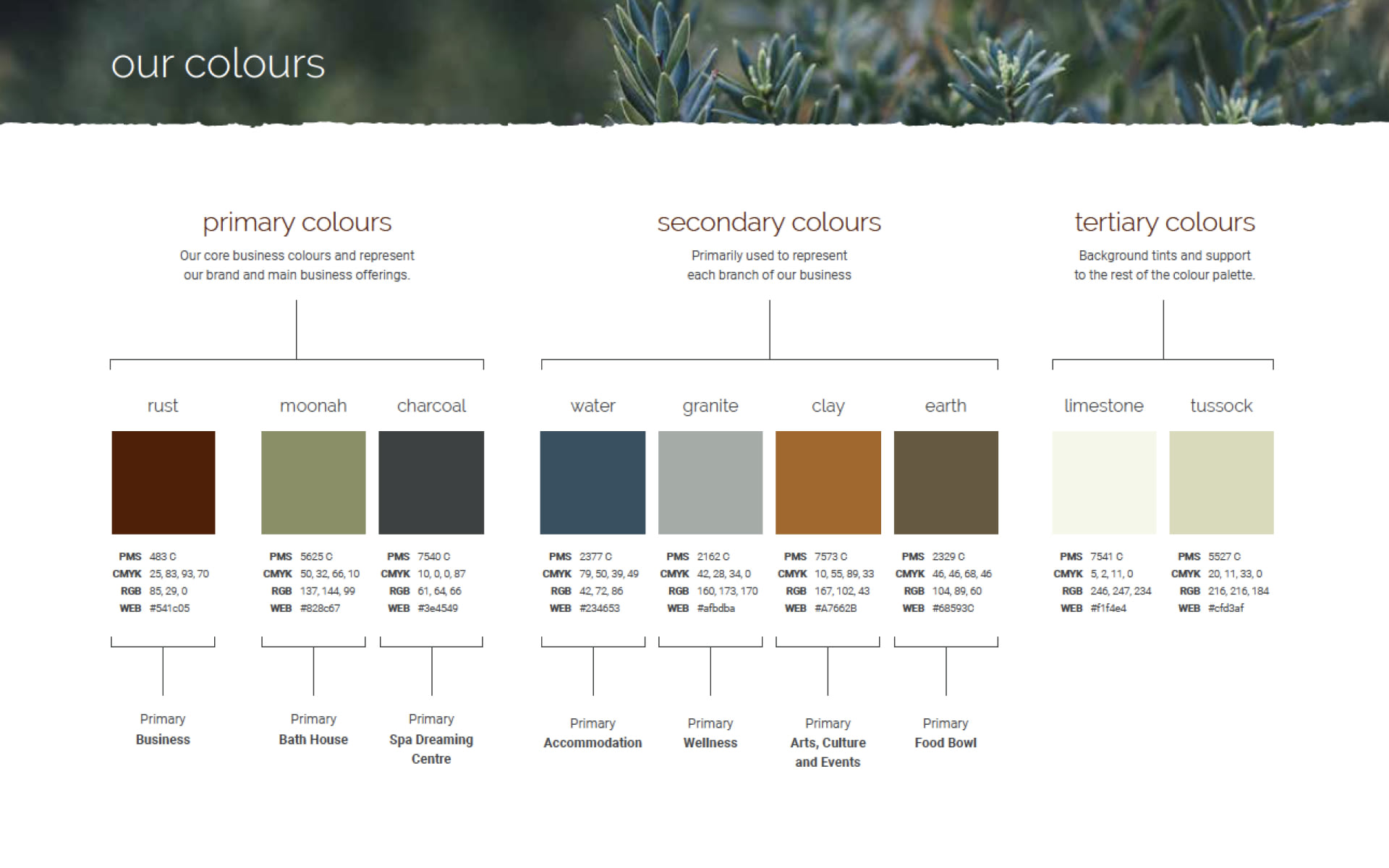 peninsula hot springs_colour palette_project planning 