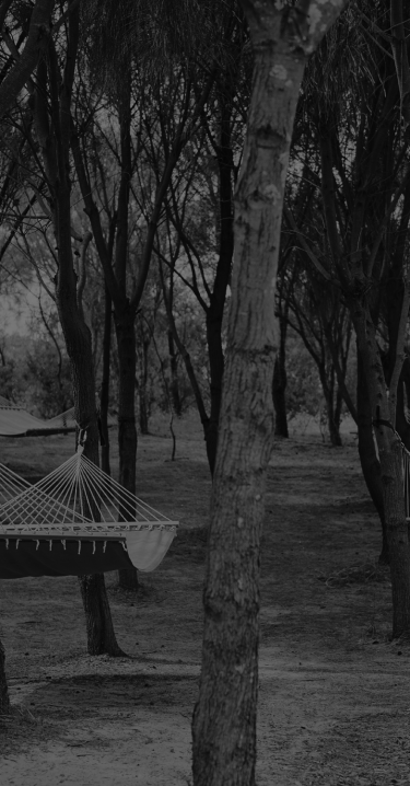 Peninsula Hot Springs_bathing experiences_hammocks
