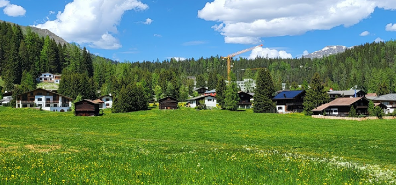 Grundstückansicht Grundstückansicht