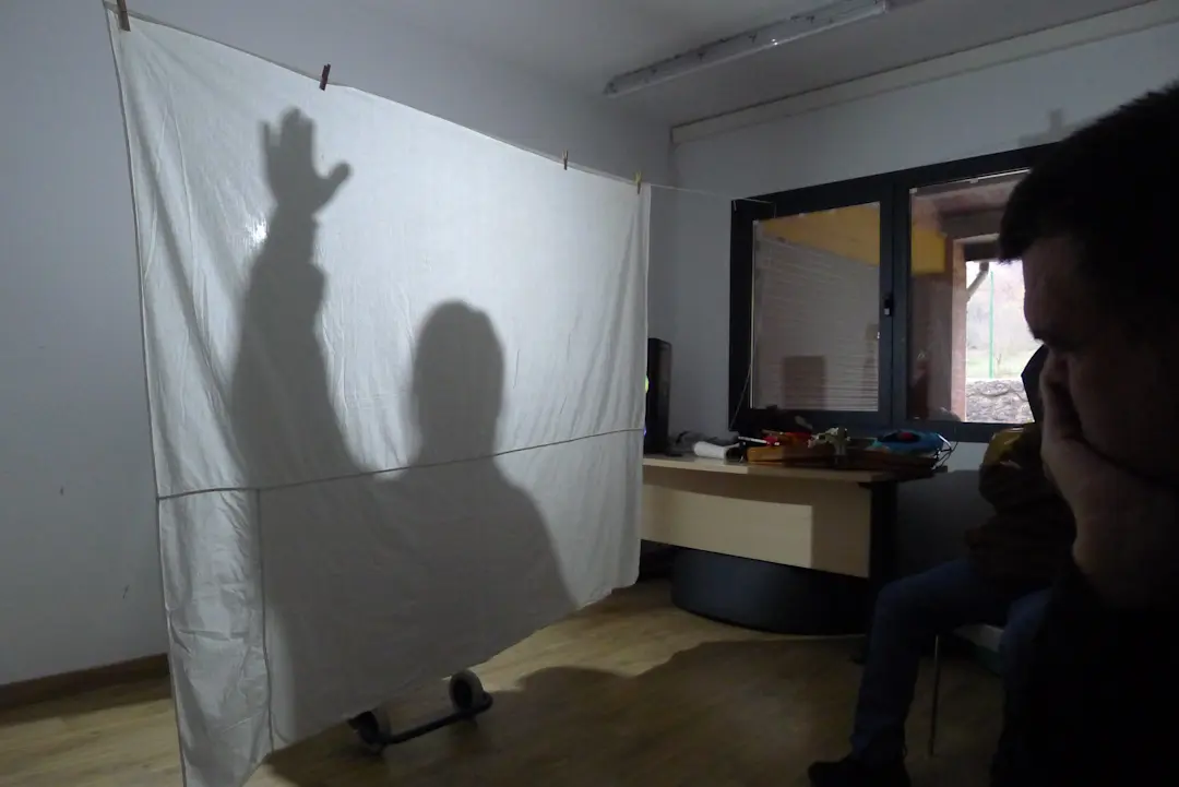 Imatge amb títol arts escèniques la llar '24 del projecte