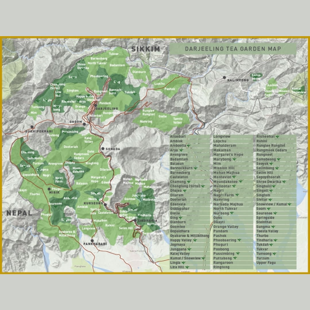 Mappa giardini Darjeeling