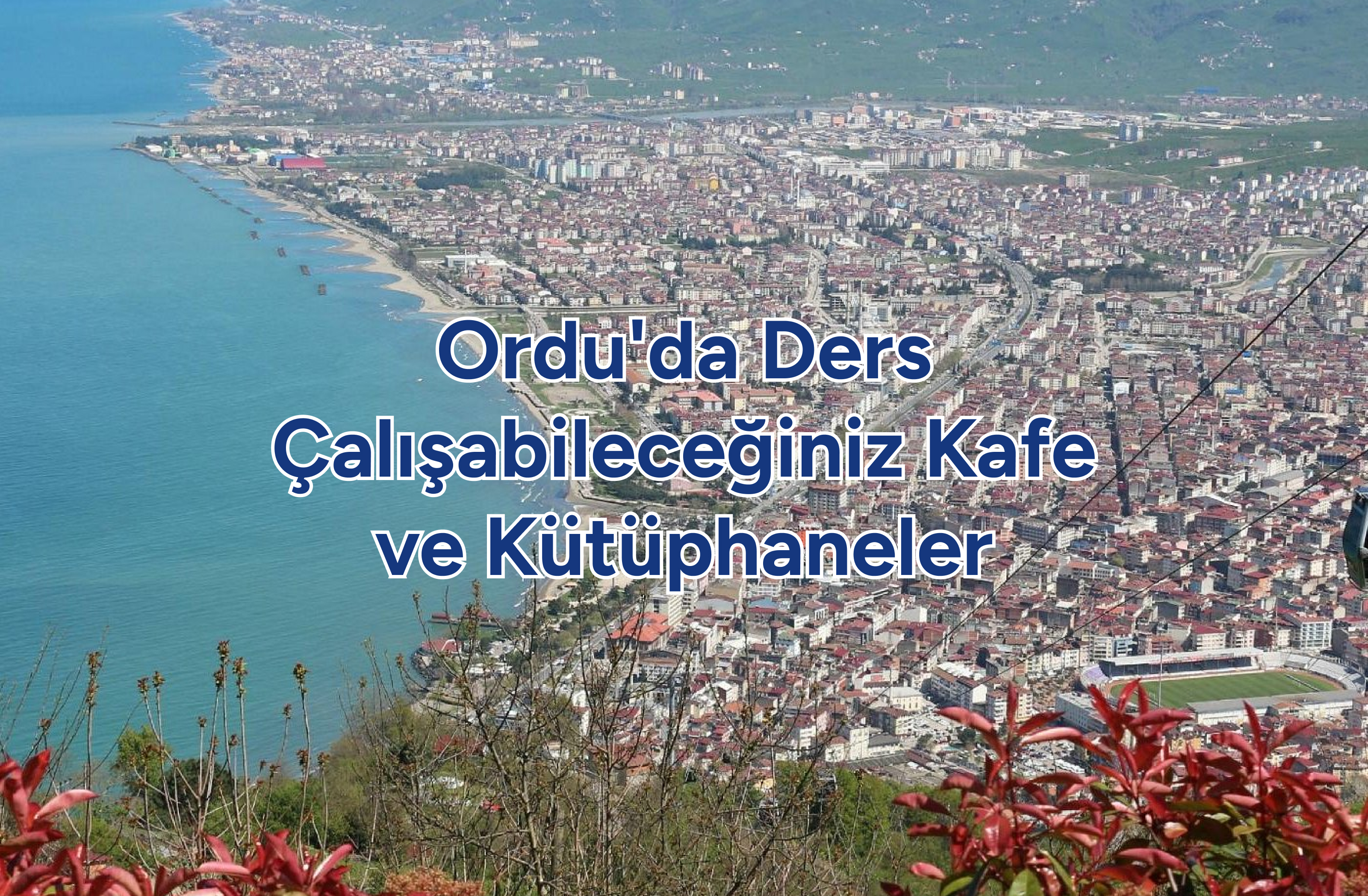 Ordu'da Ders Çalışabileceğiniz Kafe ve Kütüphaneler Banner