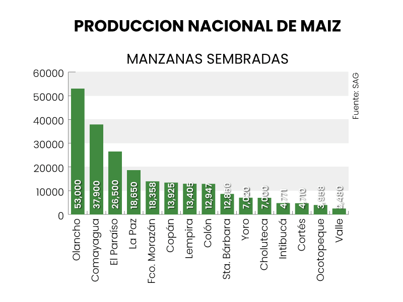 maiz-1