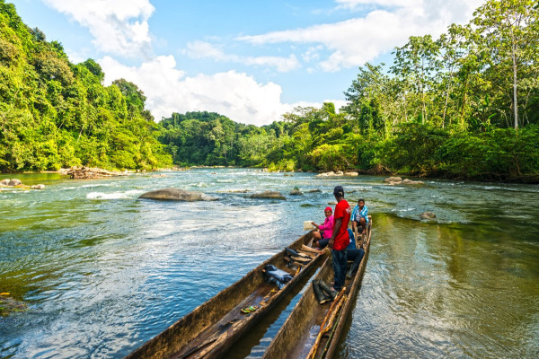 La Reserva del Hombre y la Biosfera del Rio Plátano