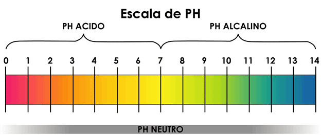 gráfica-2