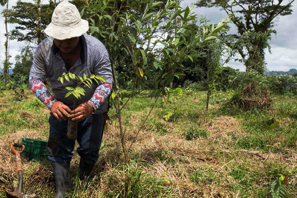 Ayudando a los Pequeños Productores a Esquivar los Efectos Del Cambio Climático en Honduras