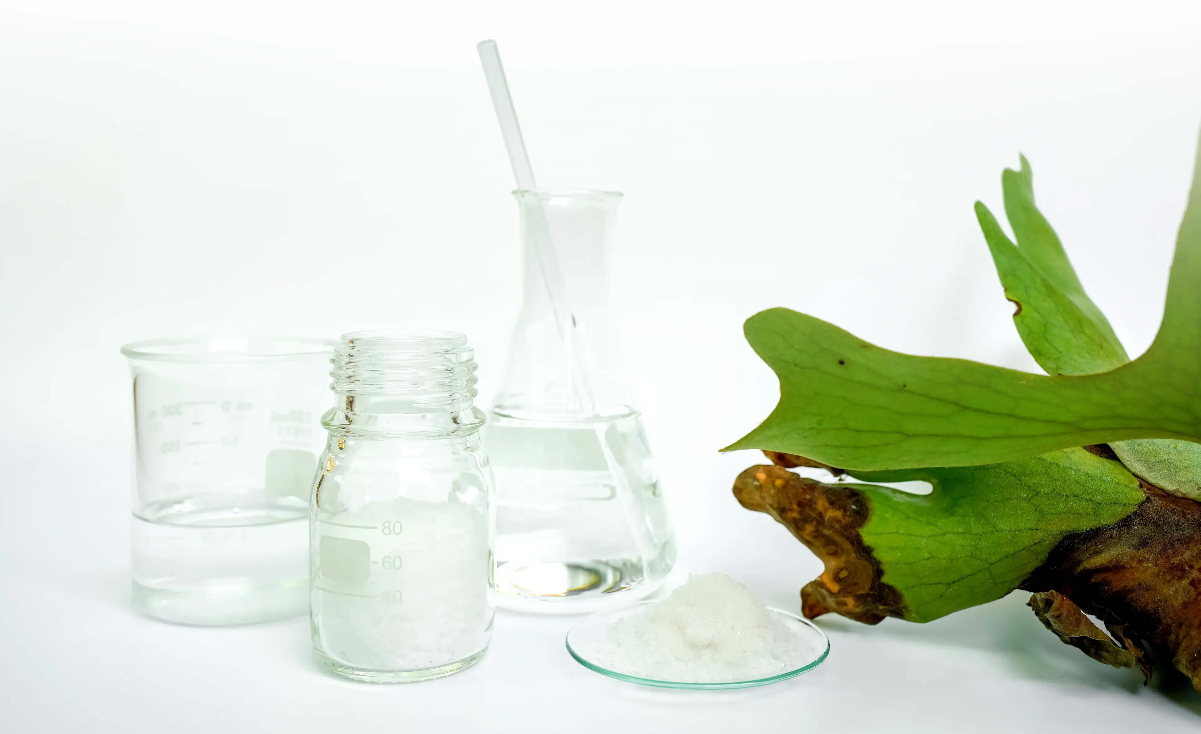 A cluster of glass containers with clear liquids next to a green plant. 