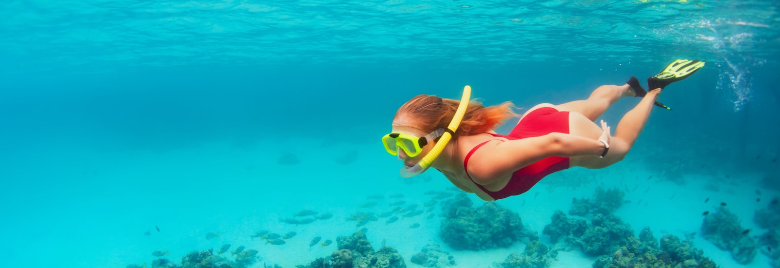 Face the Facts: Are Neutrogena Sunscreens Reef Safe?