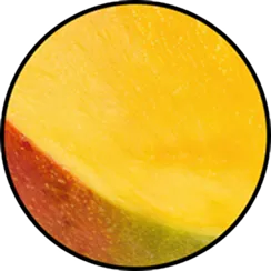 Mango Butter Texture and Consistency