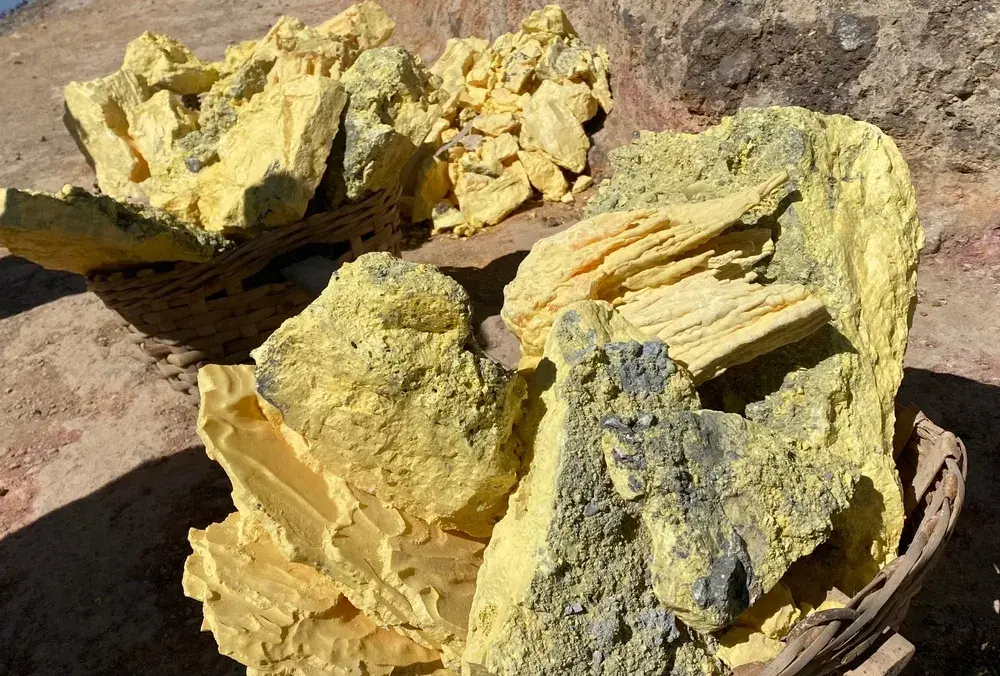 A dish of fine yellow powder.