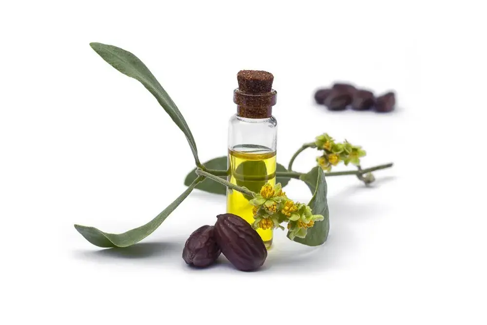 A bowl of yellow oil sits beside jojoba seeds.