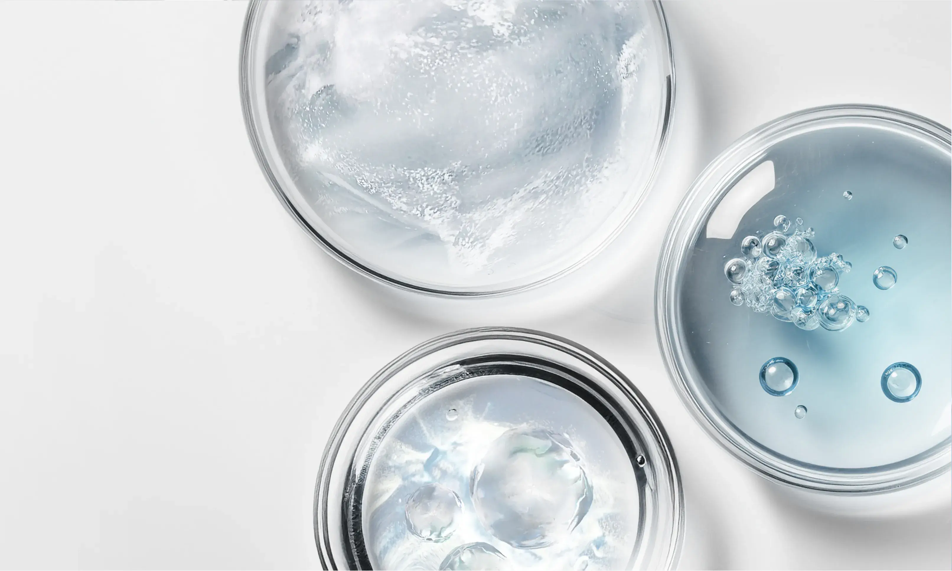 Petri Dishes with Neutogena ingredients