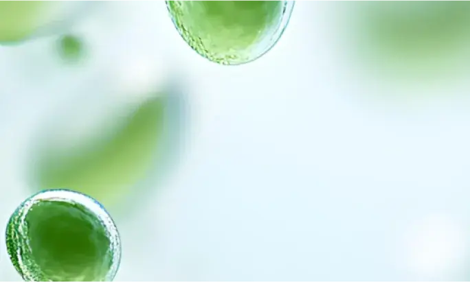 Pre and Post Biotic Complex helps support a healthy environment for the skin microbiome