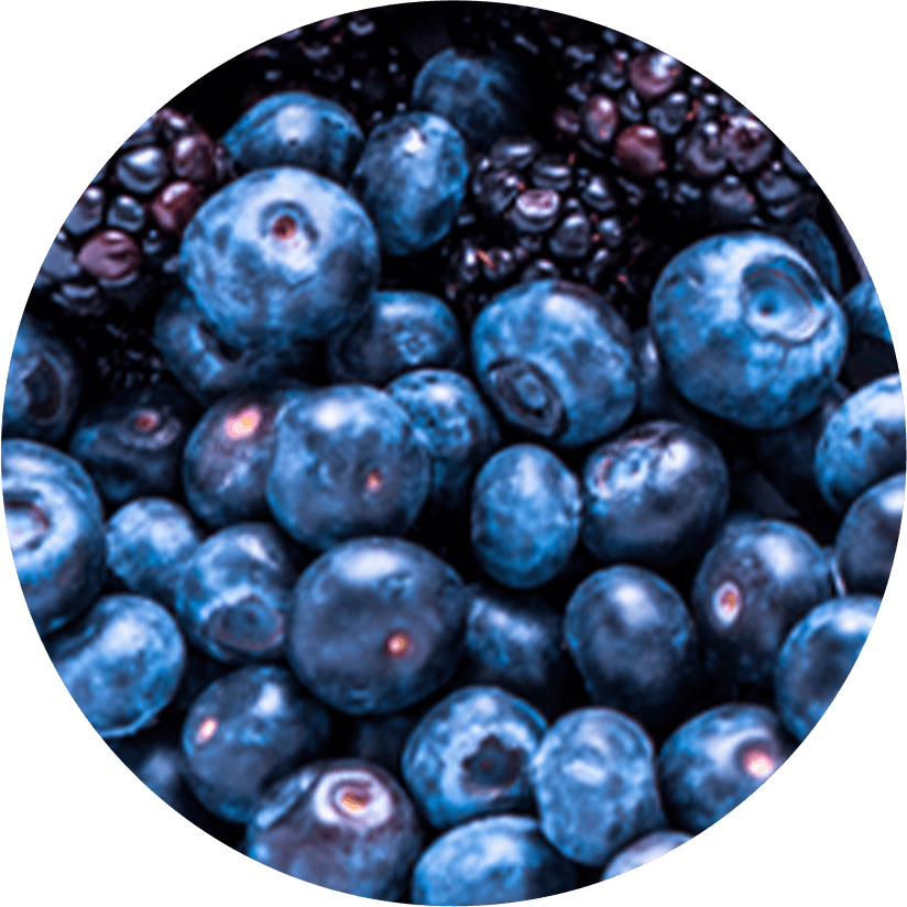 Supercharged Antioxidants