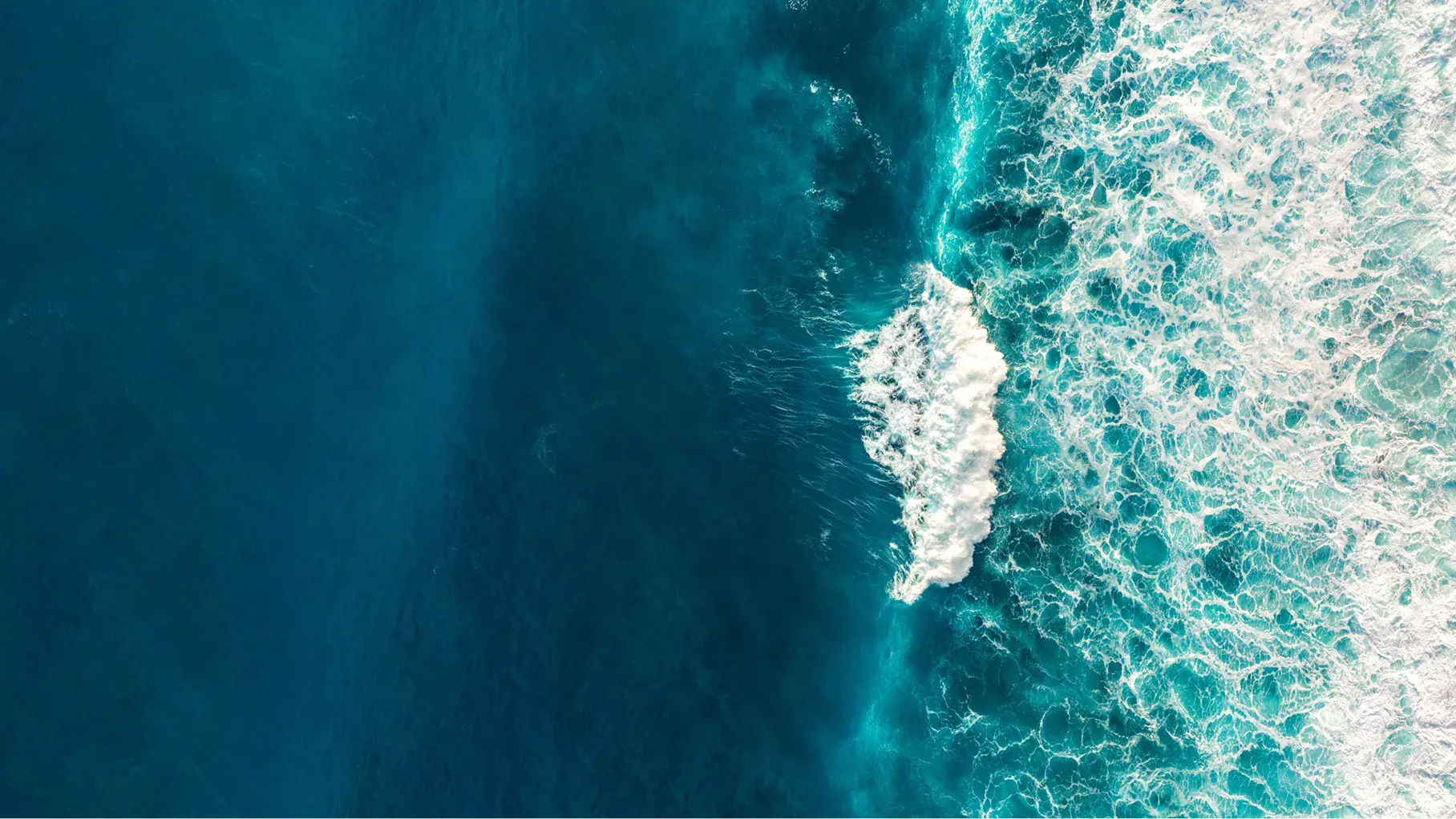 At Neutrogena, we take reef safety and sustainability seriously.