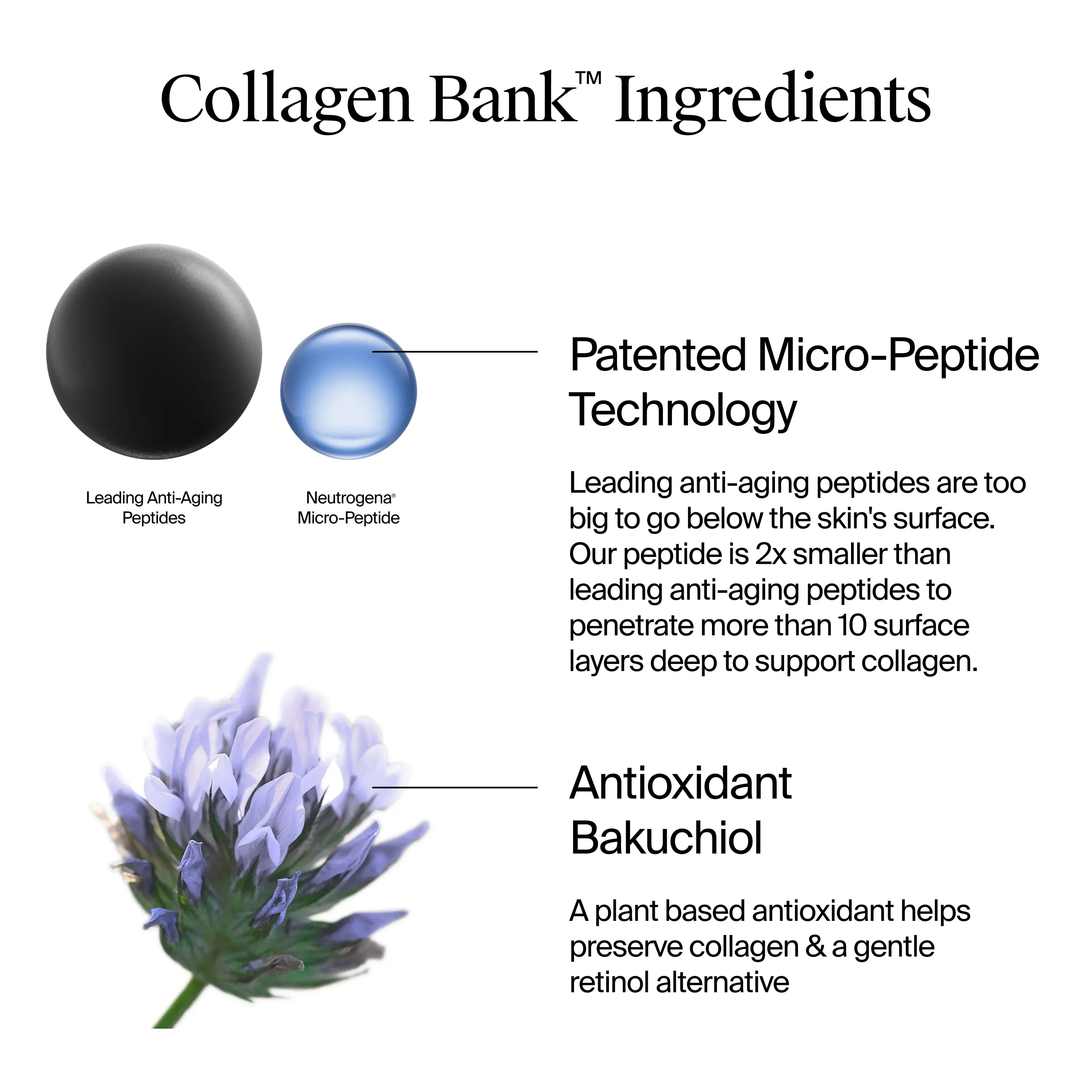 Collagen Bank Ingredients. 