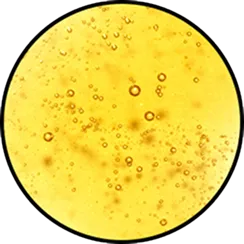 Grape-Seed Oil Texture and Consistency