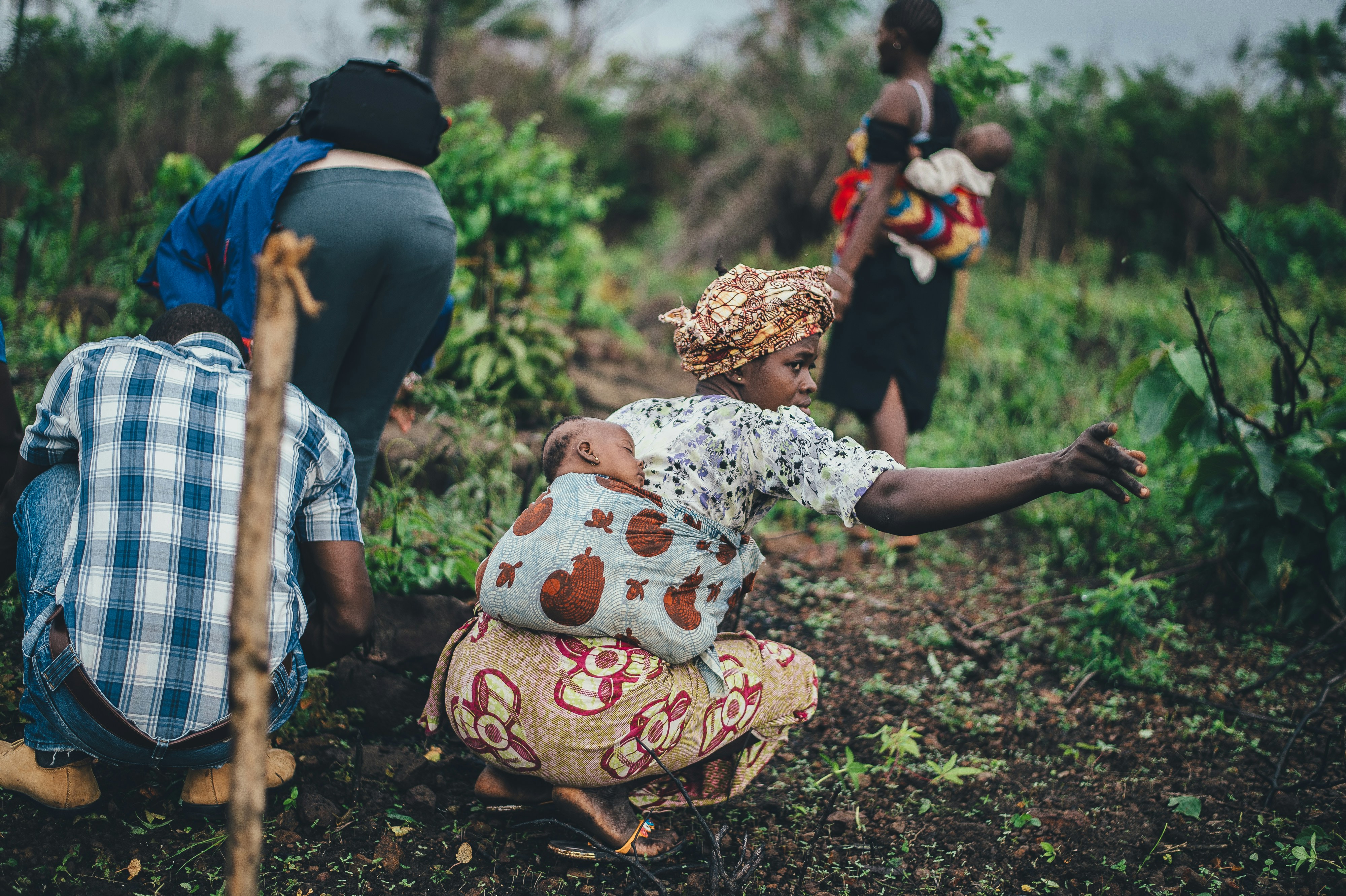 Tree planting