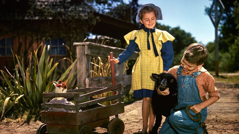 A white child (Tildy) in a yellow dress with blue sleeves and a blue bonnet, who is holding the handle of a wagon with an animal (might be a cat) in it, stands behind a white child (Jeremiah) in a checkered red shirt and blue overalls, who is holding a black sheep.  Behind them is a fence and some tall green plants.