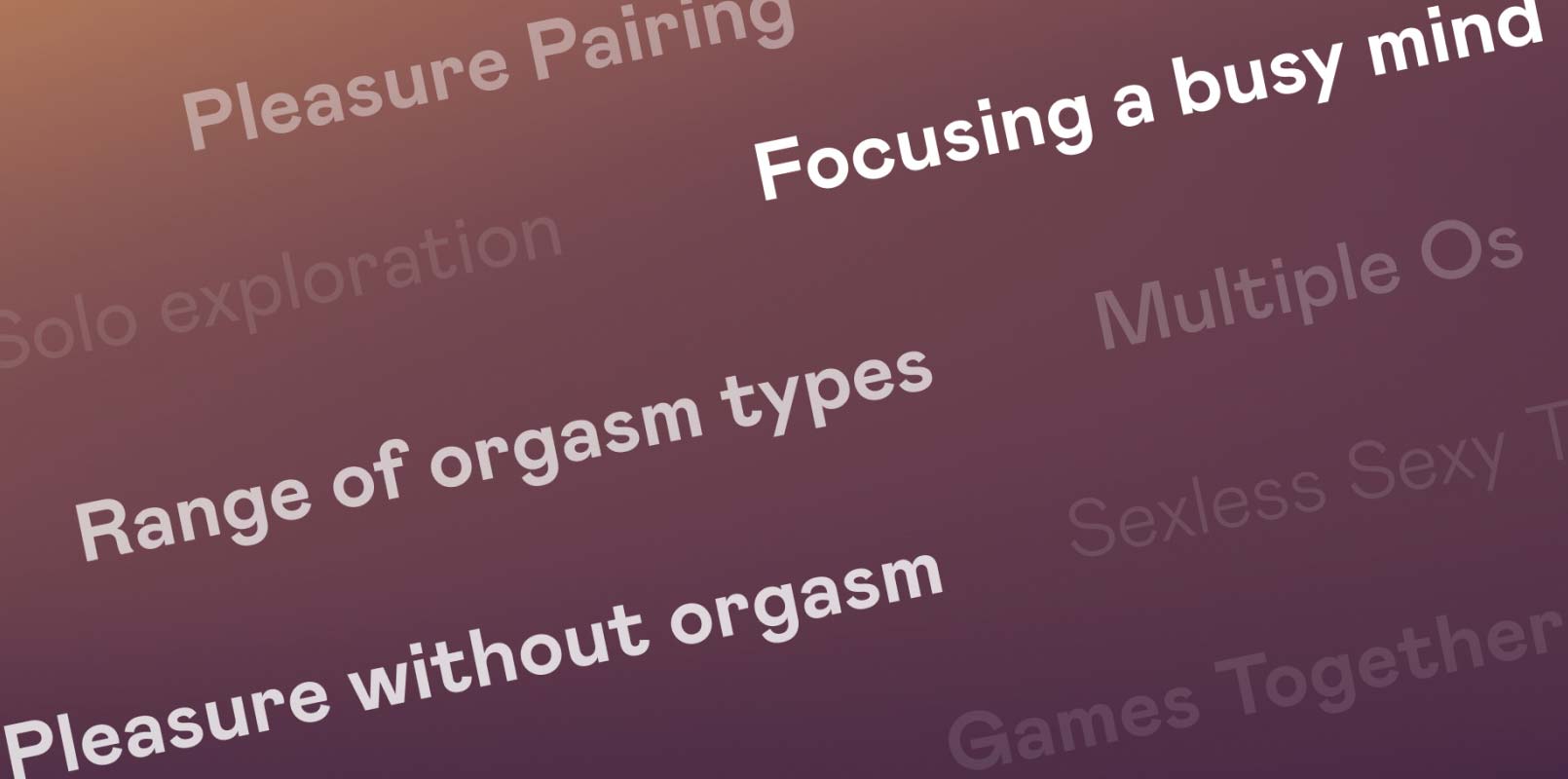 Veb-kamera oldida mushuklar