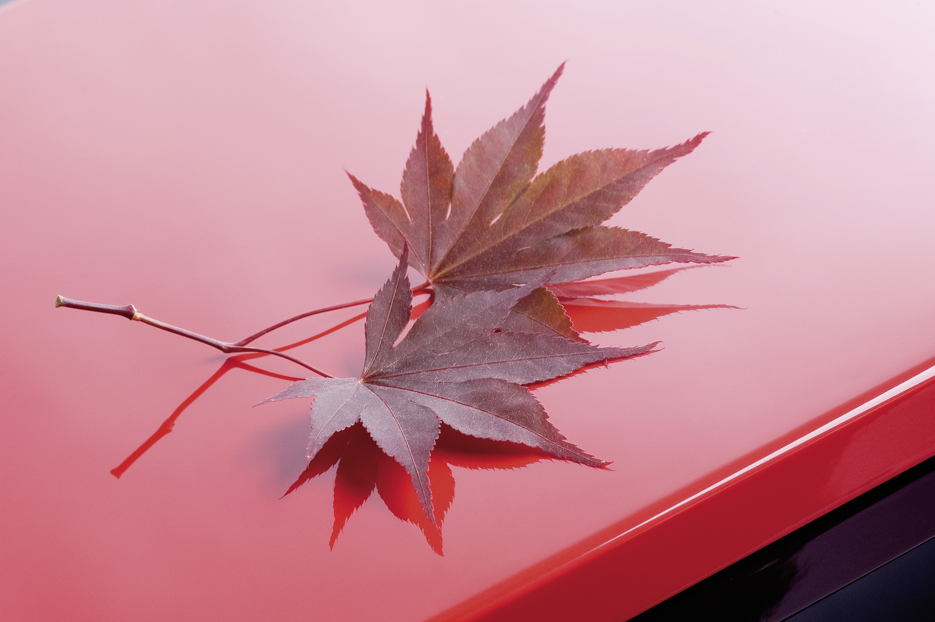 Great finishing quality 