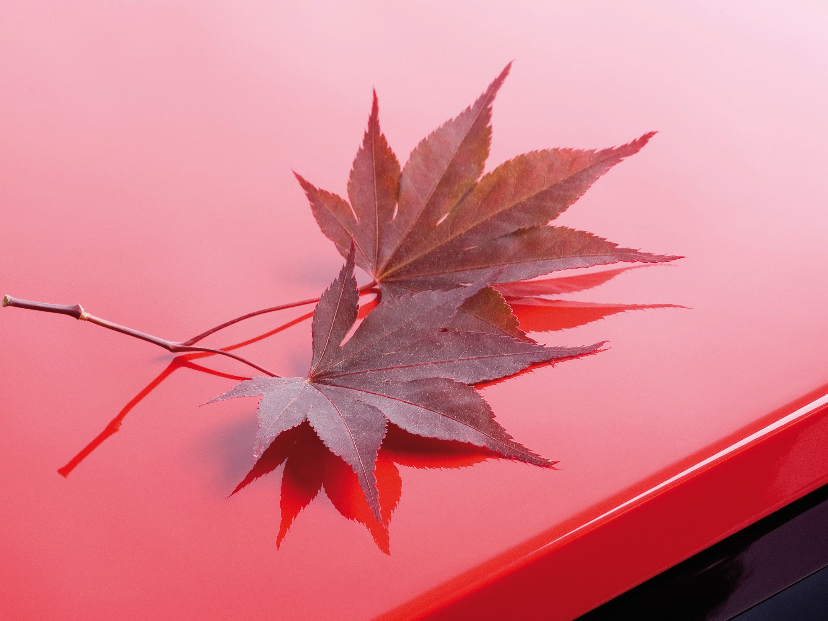 Great finishing quality 