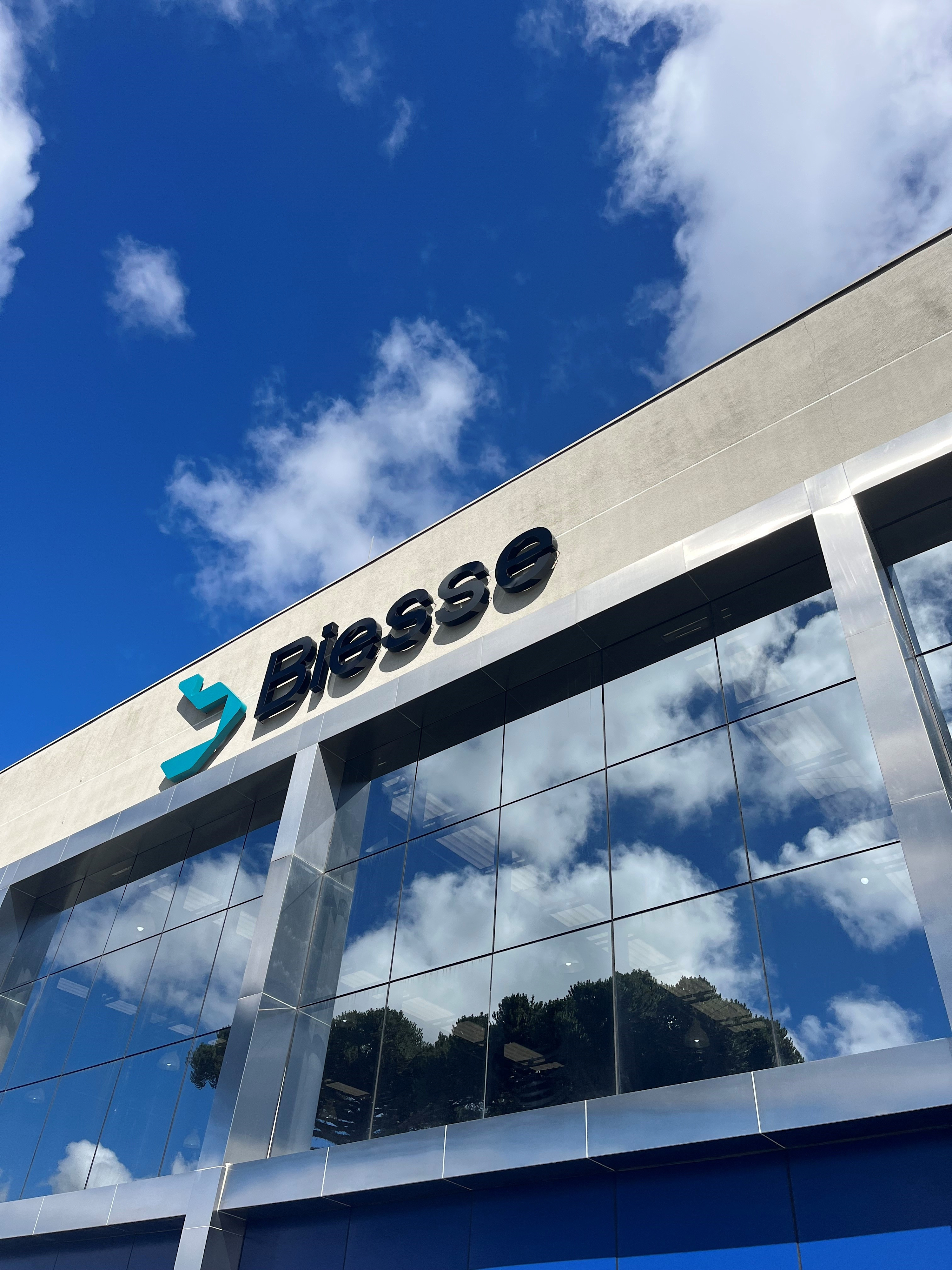 Company profile