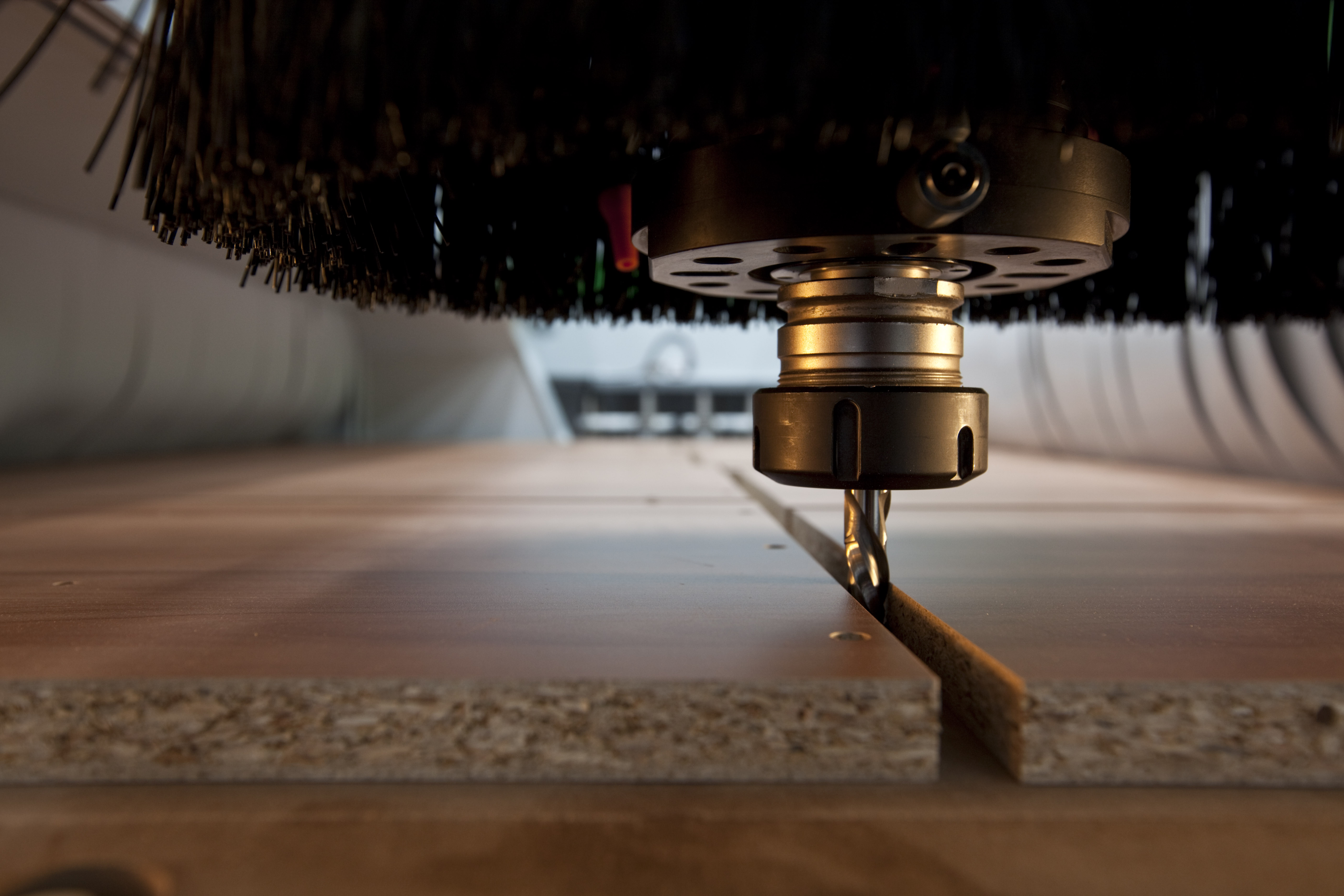 Choosing the type of wood: the latest trends