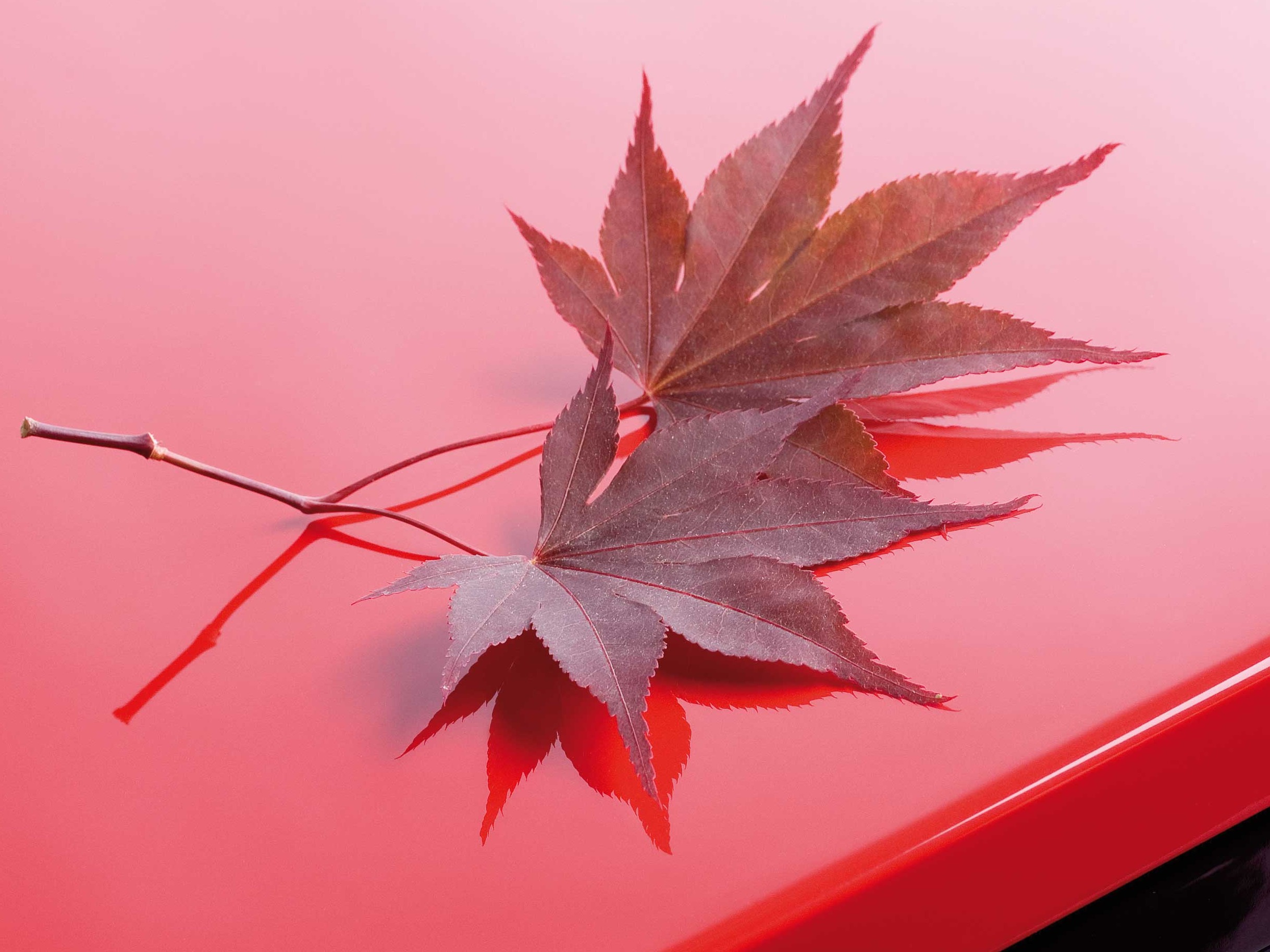 Surface quality for delicate finishing