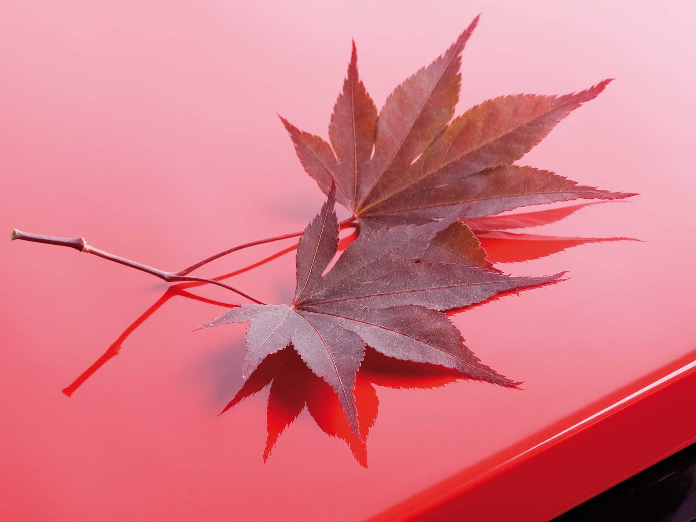 Surface quality for delicate finishing