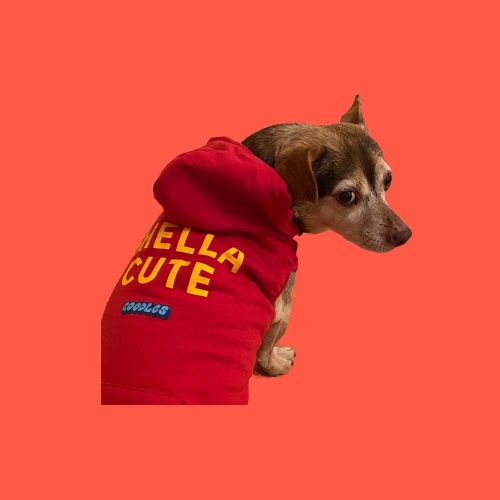 Dog Shella-Cute Hoodie
