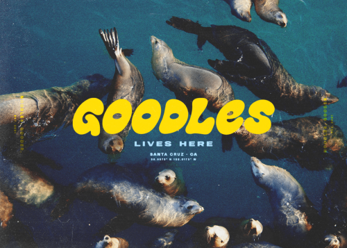 Goodles-Seals