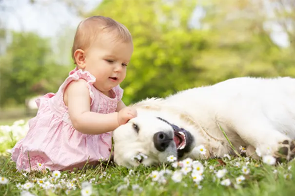 creating-a-safe-relationship-between-your-pets-and-baby