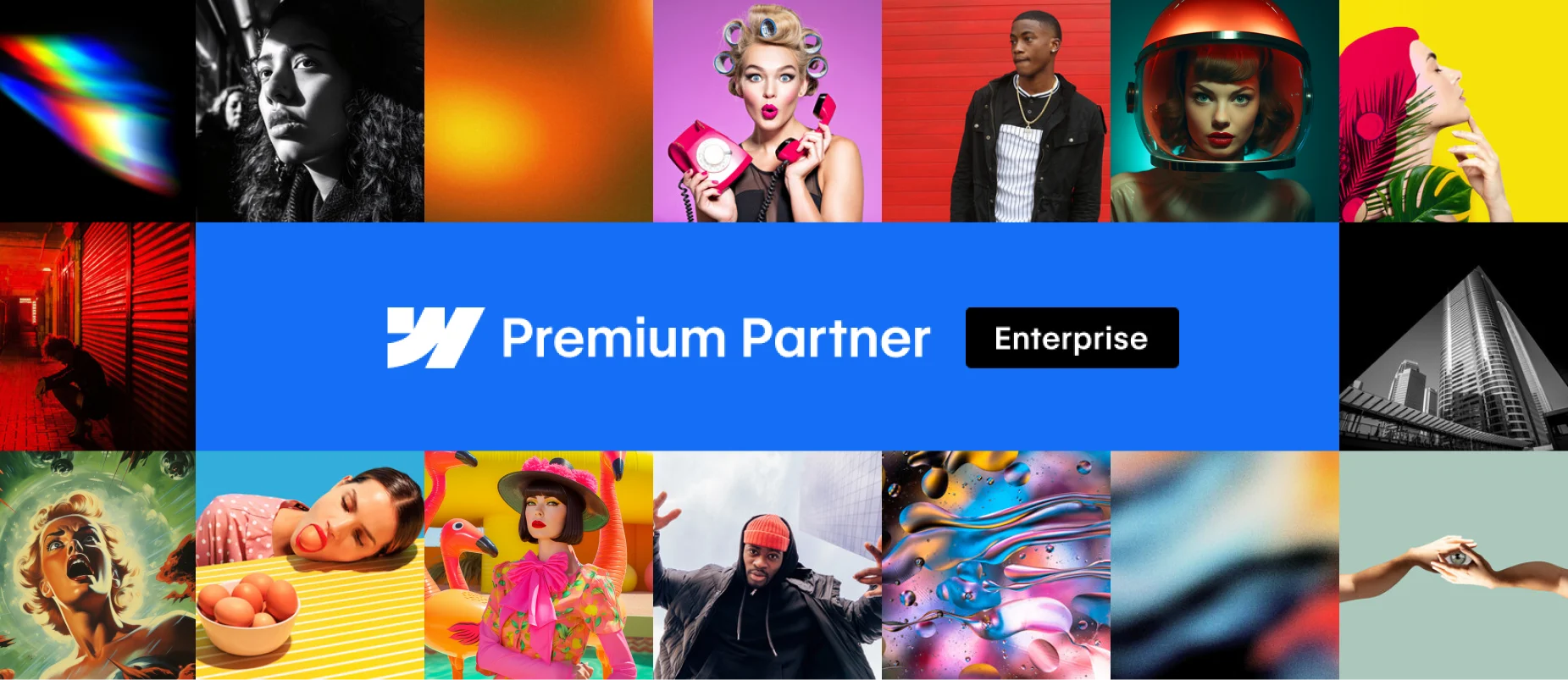 Webflow Premium Parnter: Enterprise