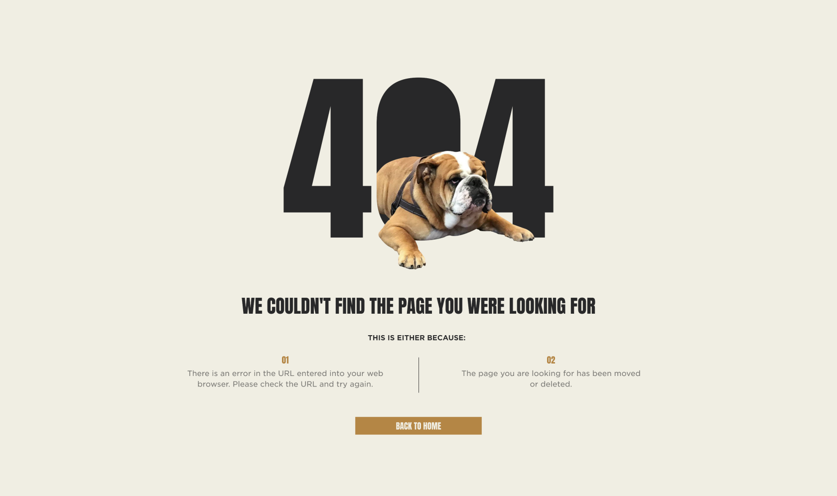 Anderson Brothers 404 page design